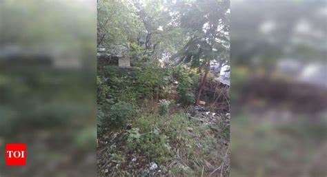 Misuse of vacant land dumping wastages and using a - Times of India