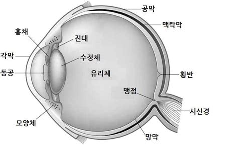 Image result for Alien Lens Sunglasses