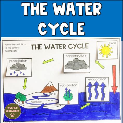 Collection Water Cycle Definition