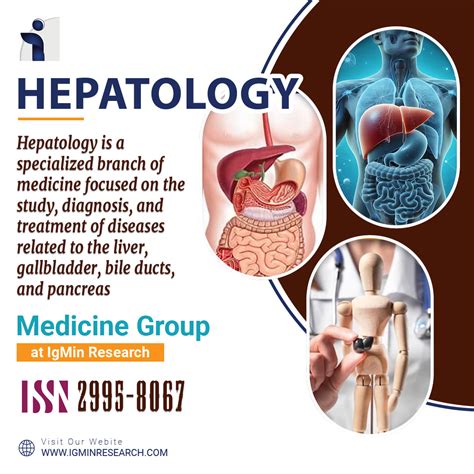 Hepatology | Advancing Liver Health Research at IgMin Research