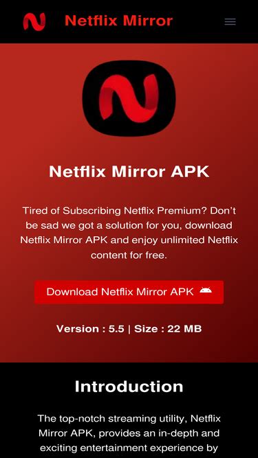 Image result for Netmirror Features