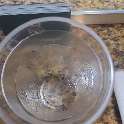 QUALITY INN FLAMINGO - Prices & Motel Reviews (Atlantic City, NJ)