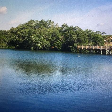 Eagle Lake Park (Largo) - Lohnt es sich? Aktuell für 2025 (Mit fotos)