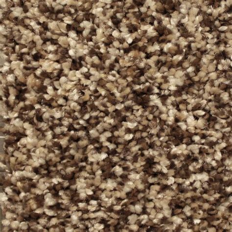 STAINMASTER (Sample) Essentials Channing Spotlight Textured Carpet at ...