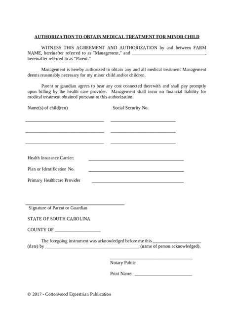 Authorization To Obtain Medical Treatment For Minor Child - Horse ...