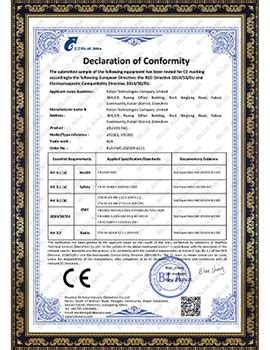 Company Overview - Felion Technologies Company Limited