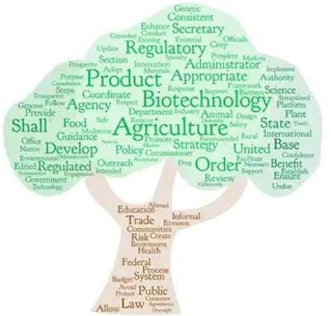 Biotechnology Tree 的图像结果