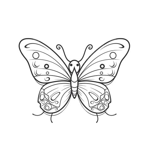Butterfly Drawing Outline Printable