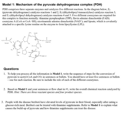Image result for Pyruvate Dehydrogenase Complex PDHA1