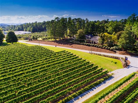 Your Complete Guide To Charlotte's Queen's Feast