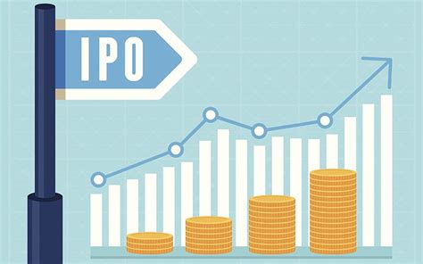 How Companies Go Public through IPOs – Veligera