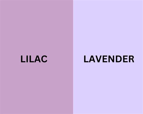 Lilac vs Lavender : What's The Difference? - Nourish Your Glow in 2024 ...