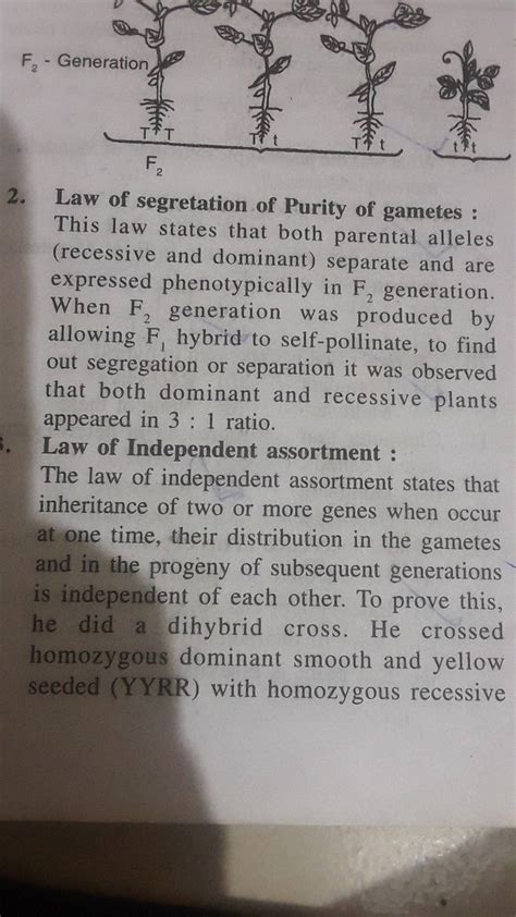 2. Law of segretation of Purity of gametes : This law states that both pa..