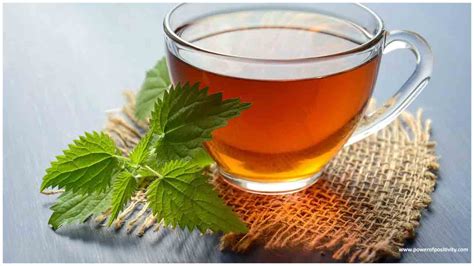 Reasons why you should have peppermint tea in COVID-19 crisis