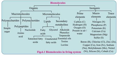 For this image equation-to-table you have to store each equation as a ...