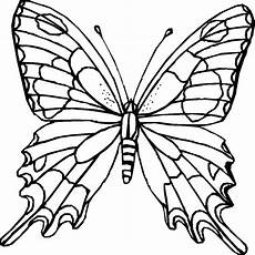 ausmalbilder tiere schmetterling ausmalbilder schmetterling zum ausdrucken malvorlagen ausmalbilder tiere schmetterling ausmalbilder schmetterling zum ausdrucken malvorlagen