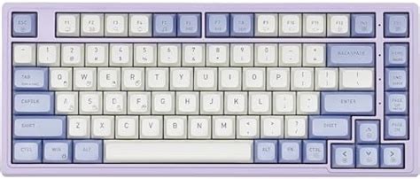 Amazon.in: Buy Hexgears Purple Rain M2 Wired Mechanical Keyboard 83 ...