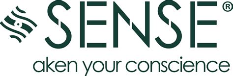 Caída capilar: causas, soluciones naturales y cómo tratarla desde la raíz – Sense Personal Care