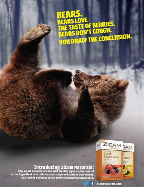zicam homeopathic