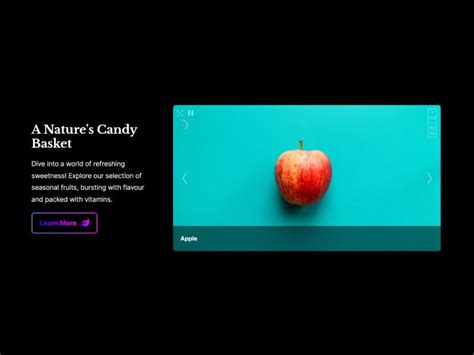 Elementor Gallery Slider 的图像结果