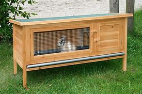 Image result for Victorian Rabbit Hutch