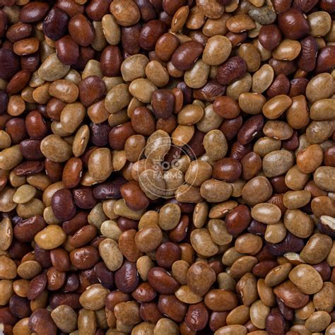 Whole Brown Horsegram – OOO Farms