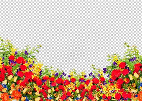 Premium PSD | Flower isolated transparency background.