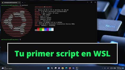 Image result for Windows Bash Script