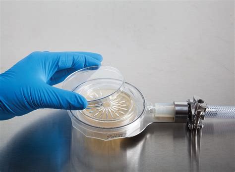 Image result for Particulate Testing