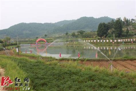 湘西州开展机械化提水节水灌溉技术大演示（图）_新浪新闻