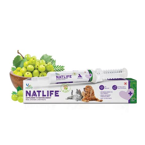 Buy Natural Remedies Natlife Energy Restore Supplement for Dull & Sick ...