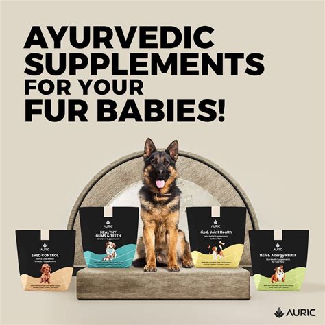Introducing Ayurveda for Pets - Auric