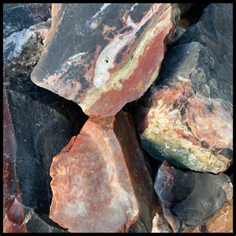 Image result for Jafar Rust