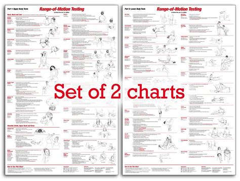 Occupational Therapy Range Of Motion Chart at Michael Robin blog