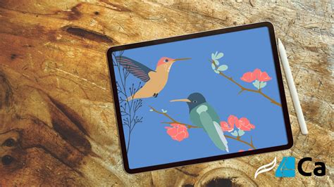 Image result for Create Assets Affinity Designer