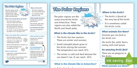 KS1 Polar Regions Fact File (teacher made) - Twinkl