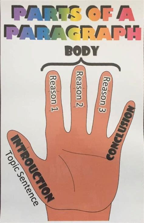 Parts Of Paragraph Poster Kristie's Classroom Paragraph Anchor Chart ...