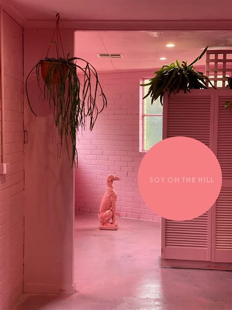 Soy on the hill GRAND OPENING, 19 Brougham St, Eltham, 25 August 2023 ...