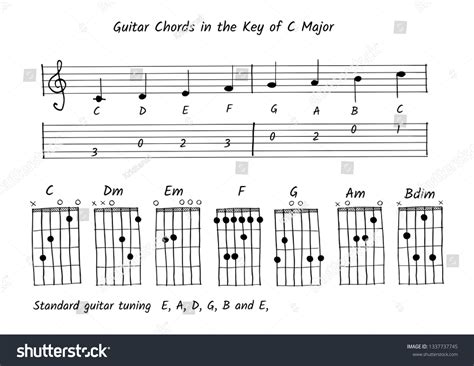 Guitar Chord Key C Major Note Stock Vector (Royalty Free) 1337737745