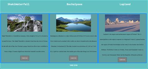 Flex HTML CSS 的图像结果