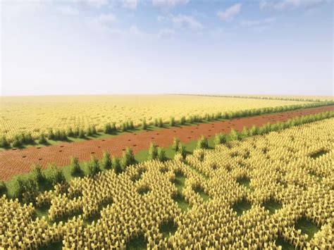 Java Field Map 的图像结果