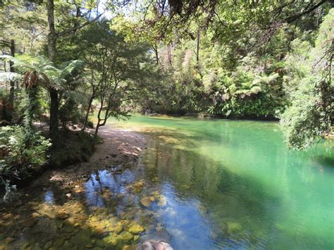 10 BEST Places to Visit in Abel Tasman National Park - UPDATED 2023 ...