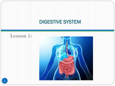 Image result for Lesson On Digestive System