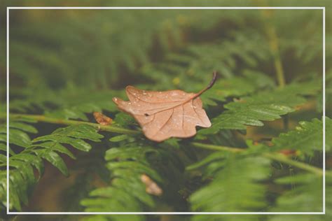 Sound Level Chart 的图像结果