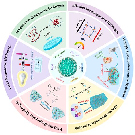 Stimuli-Responsive Hydrogels in Food Sector: Multi-Component Design ...