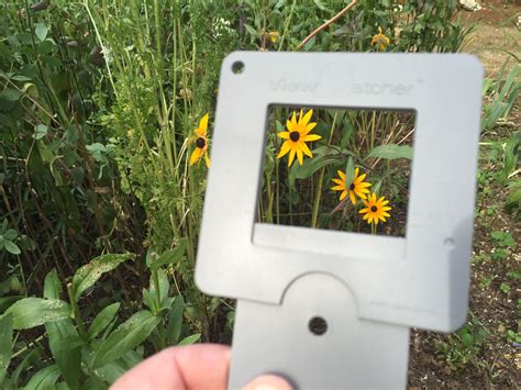 Image result for How to Use Viewfinder Grid Drawing