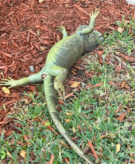 Florida unclaimed property, money returns hit $36 million in October