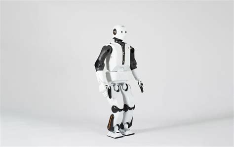 Pal Robot 的图像结果