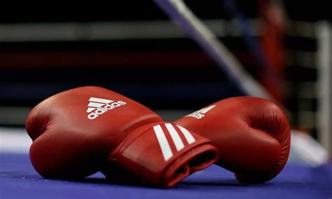 World Boxing supports the formation of new Asian boxing body