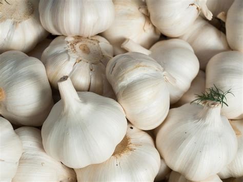 Organic Local Food 的图像结果